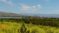 Ambarcık Mahallesi Şevki Çiftliği